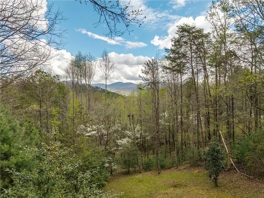 238 Cedar Ridge Rd, Cherry Log, GA 30522 - #2