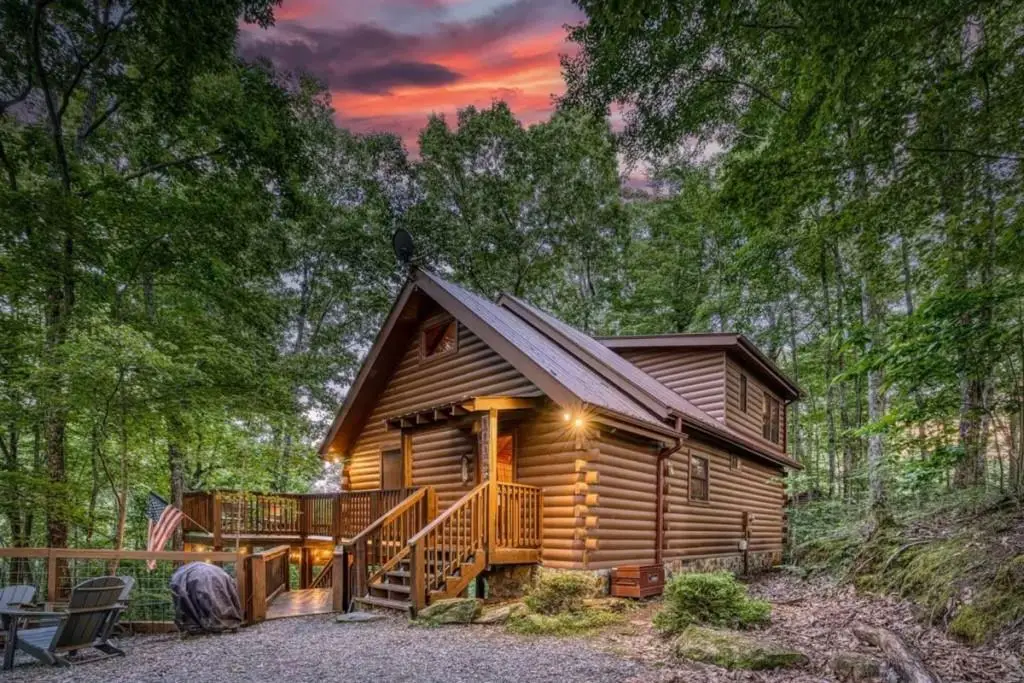 1113 Cherry Lake Drive, Cherry Log, GA 30522 - #1