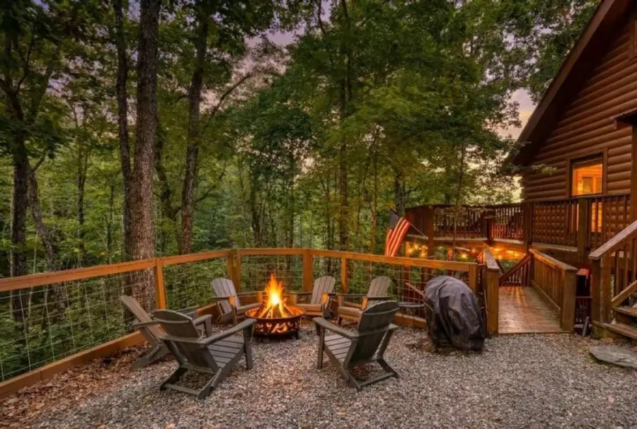 1113 Cherry Lake Drive, Cherry Log, GA 30522 - #2