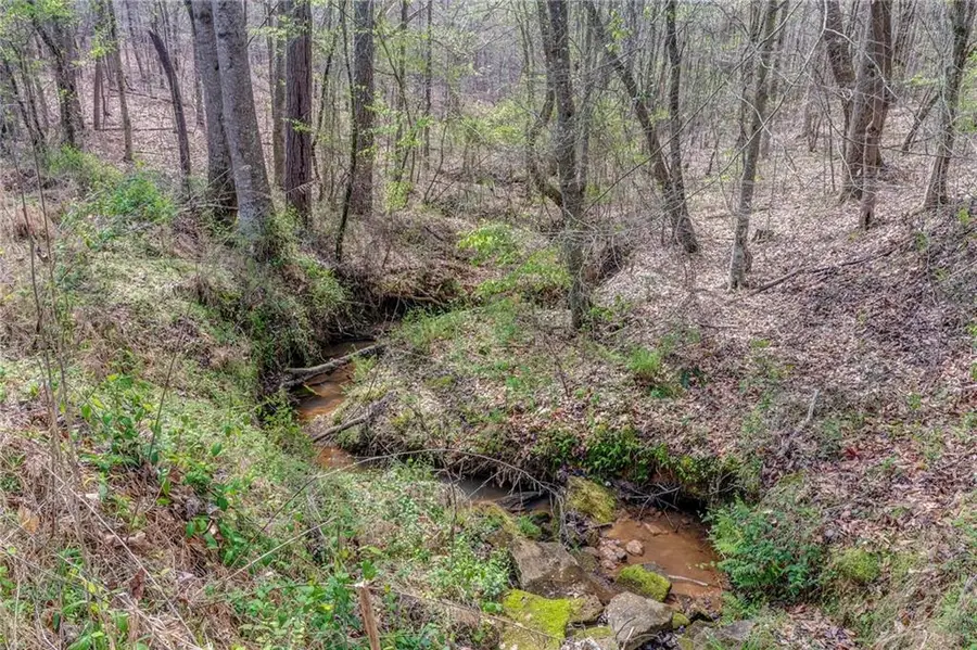 3585 Old Highway 100 S, Tallapoosa, GA 30176 - #3