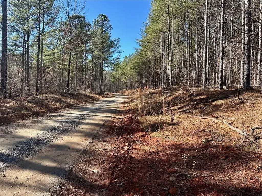1107 Larmon Forks Road, Dahlonega, GA 30533 - #1