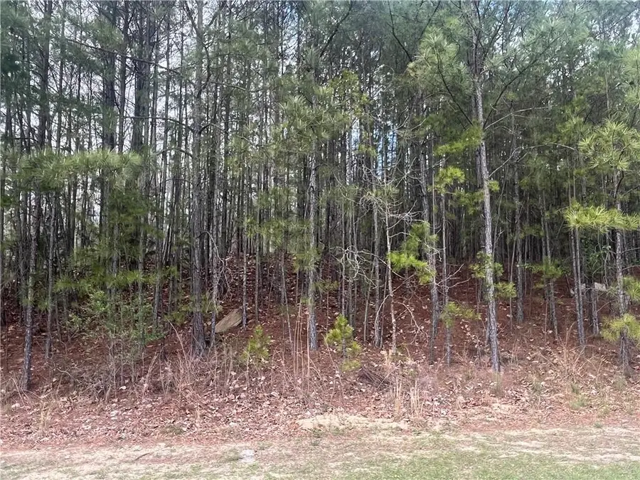 F-28 Governors Towne Drive Nw, Acworth, GA 30101 - #3