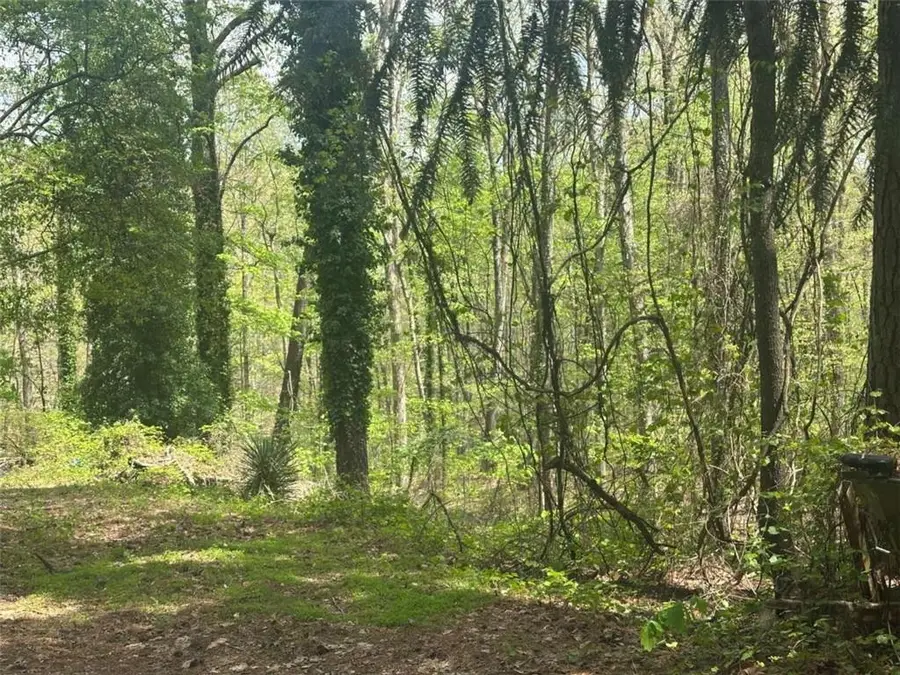 00 Yancey Road, Douglasville, GA 30135 - #3