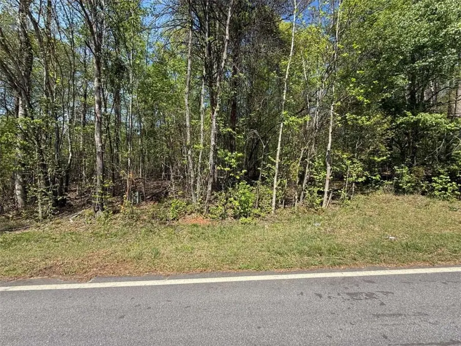 0 Panhandler Circle (2c), Maysville, GA 30558 - #2