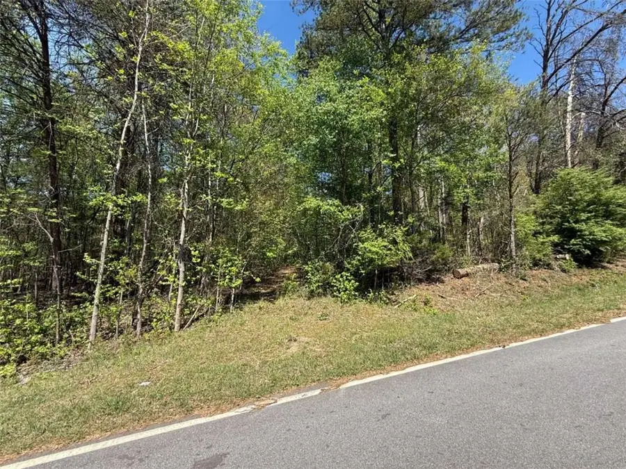 0 Panhandler Circle (2c), Maysville, GA 30558 - #3