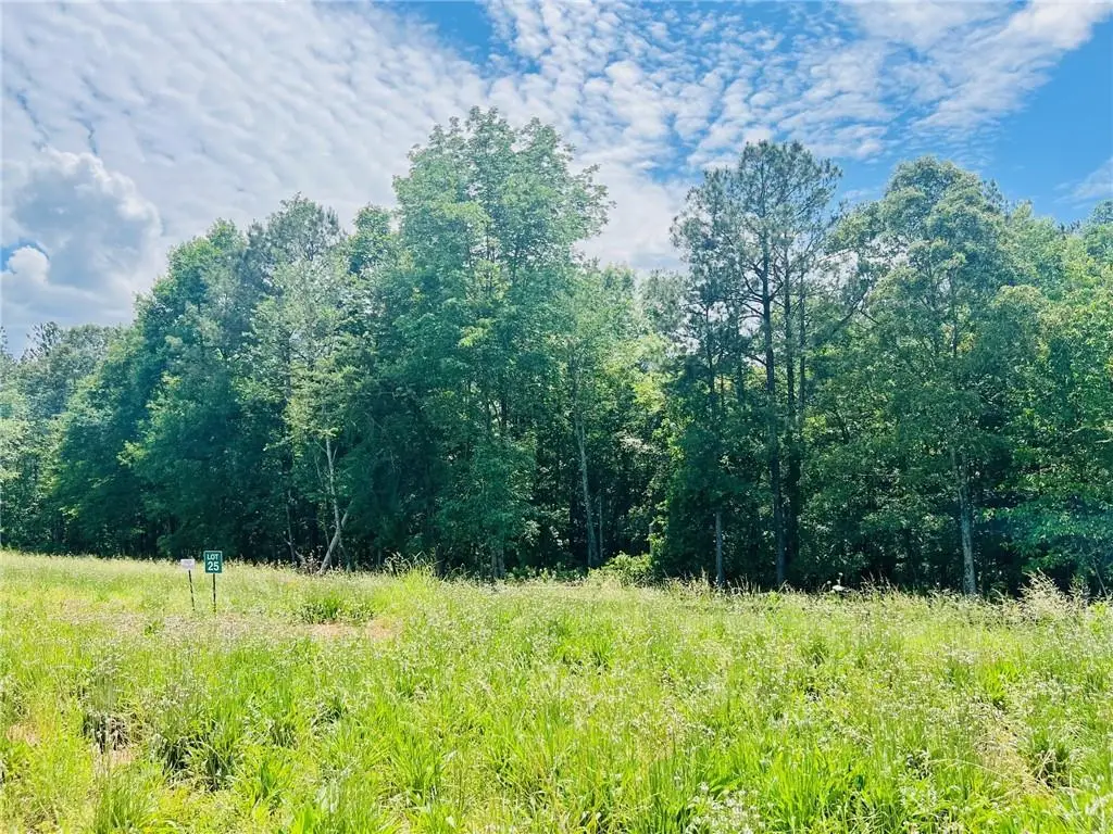 136 Daniel Ridge Sw, Cartersville, GA 30120 - #1