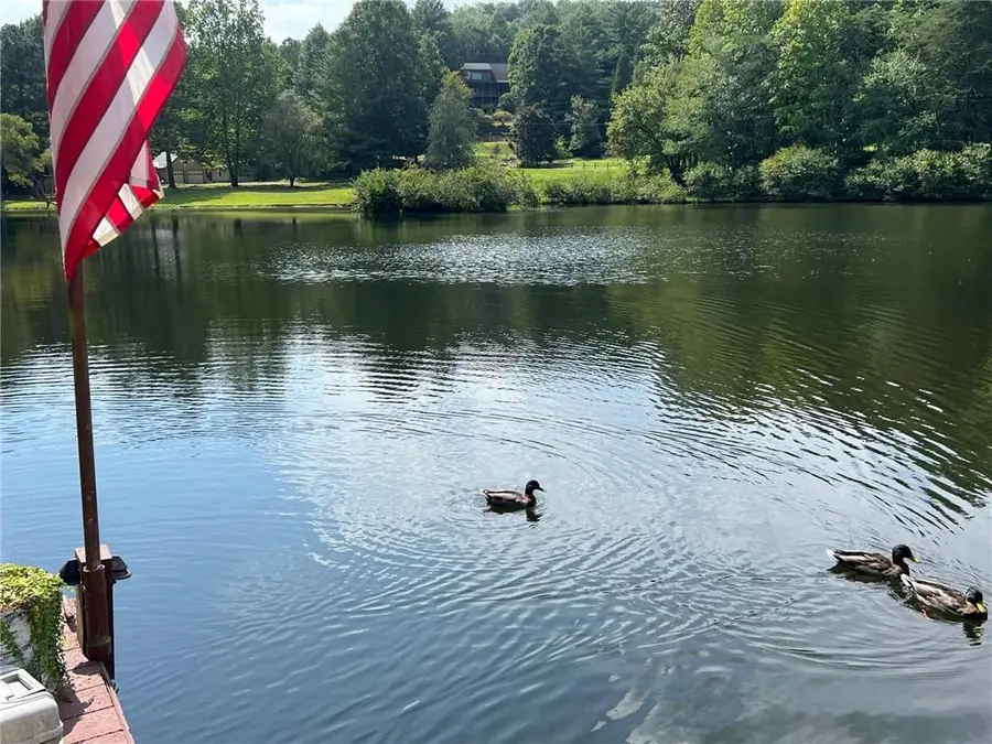 454 High Country Drive, Morganton, GA 30560 - #3