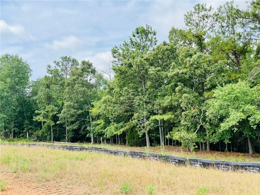 134 Daniel Ridge Sw, Cartersville, GA 30120 - #3