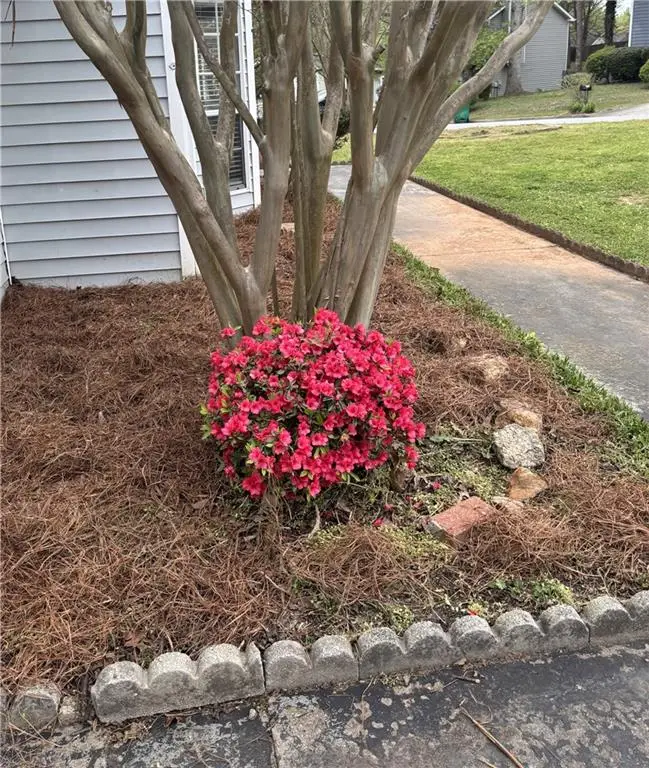 1000 Fox Valley Trail, Stone Mountain, GA 30088 - #2