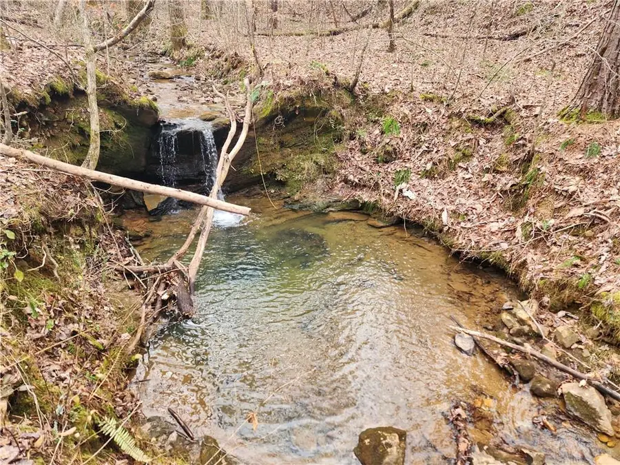 0000 Tippens Road, Canton, GA 30114 - #3