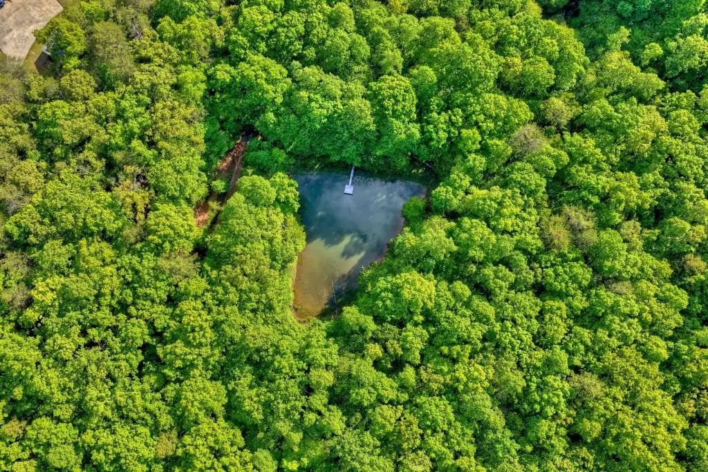 8.52 Ac Mcnelley Road, Morganton, GA 30560 - #1