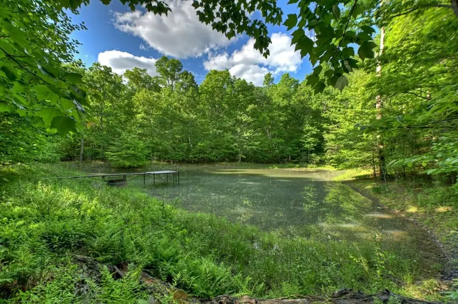 8.52 Ac Mcnelley Road, Morganton, GA 30560 - #2