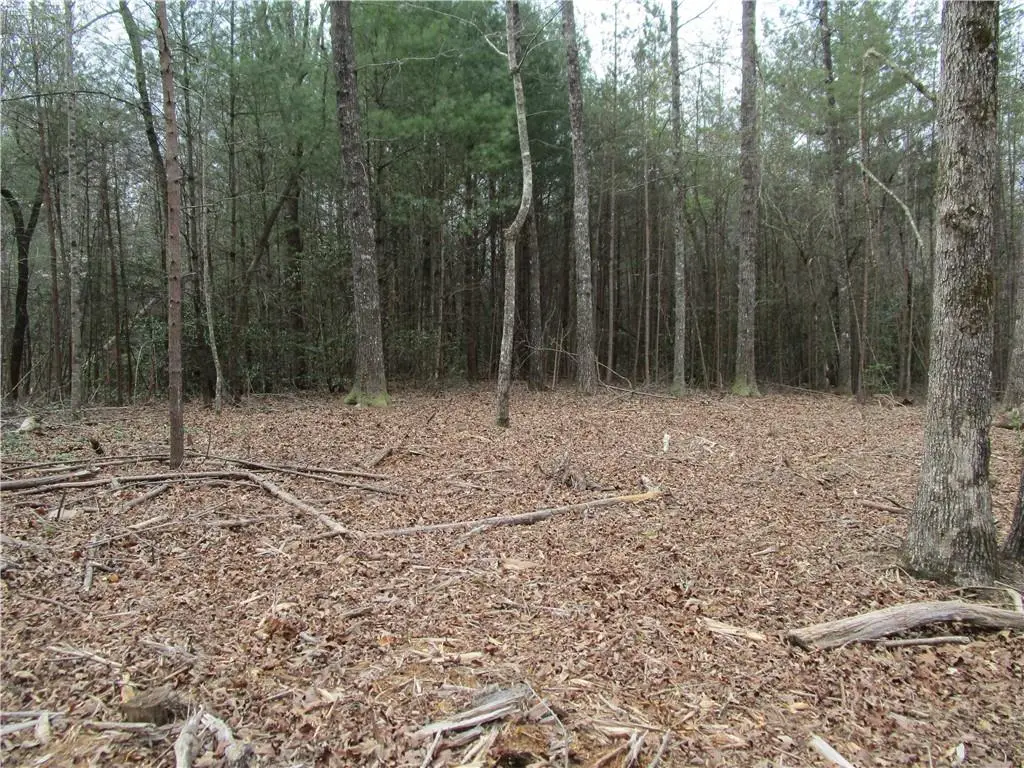 3 AC East New Hope Road, Ellijay, GA 30536 - #1