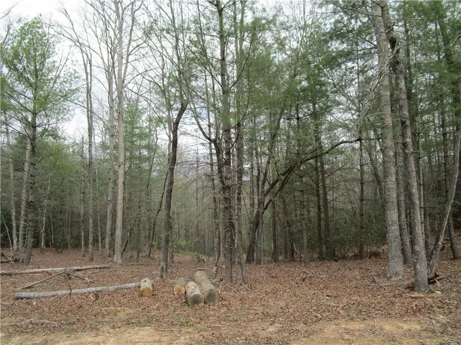 3 AC East New Hope Road, Ellijay, GA 30536 - #2