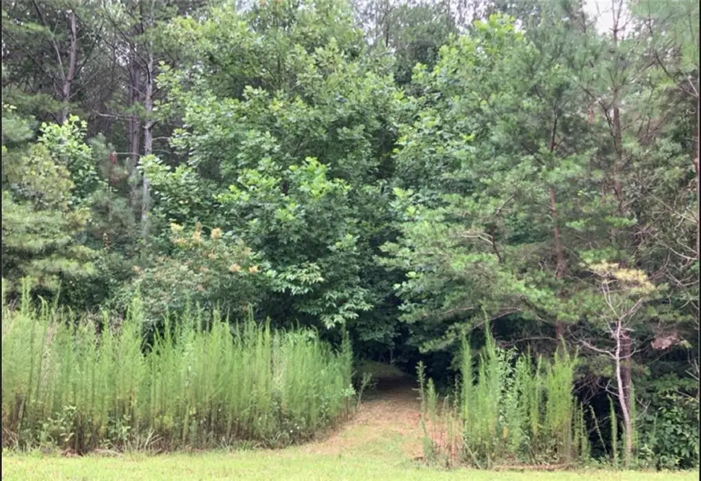 Lot 37 Eastside Drive, Ellijay, GA 30536 - #1