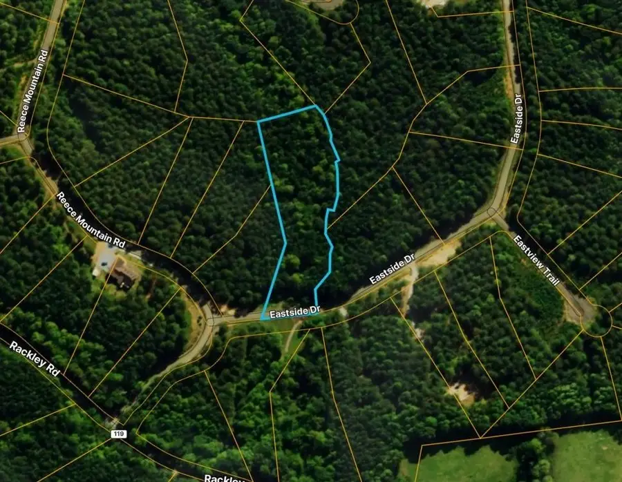 Lot 37 Eastside Drive, Ellijay, GA 30536 - #2
