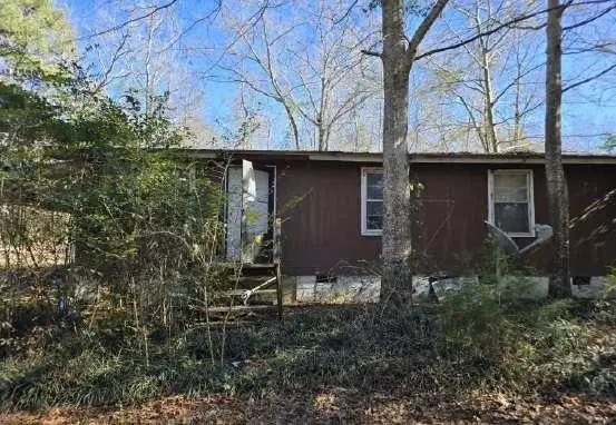 904 Travelers Home Church Road, Ideal, GA 31041 - #3