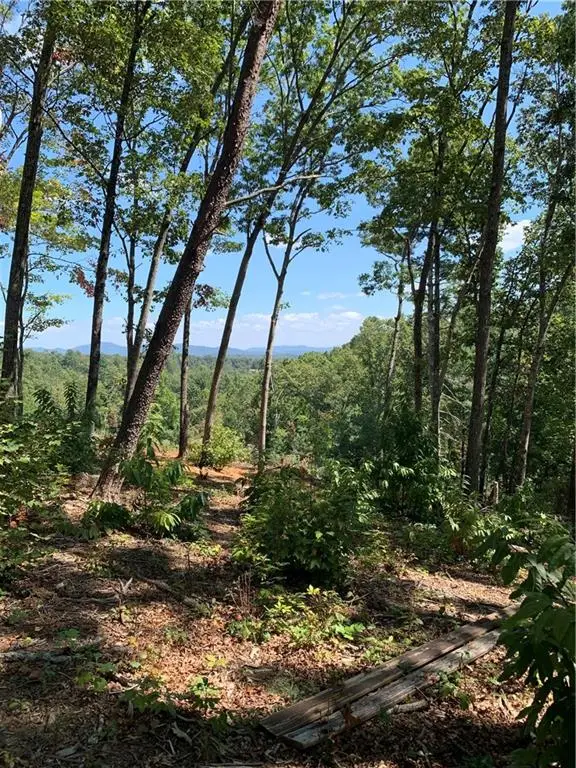 0 White Oak Cir, Blue Ridge, GA 30513