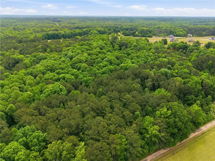 301 Singley Drive, Locust Grove, GA 30248 - #3