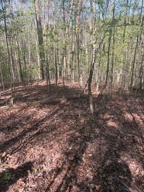 0 Heatherwood Way, Talking Rock, GA 30175 - #1
