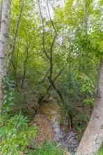 4033 Hidden Hollow Drive, Gainesville, GA 30506