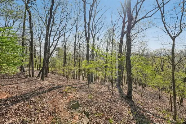 8240 Cox Mountain Drive, Big Canoe, GA 30143