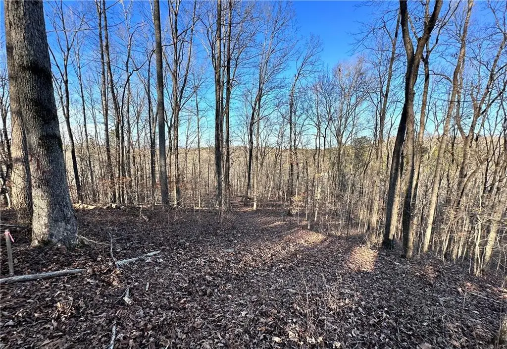 8555 Woodland Brooke Trail, Cumming, GA 30028 - #1