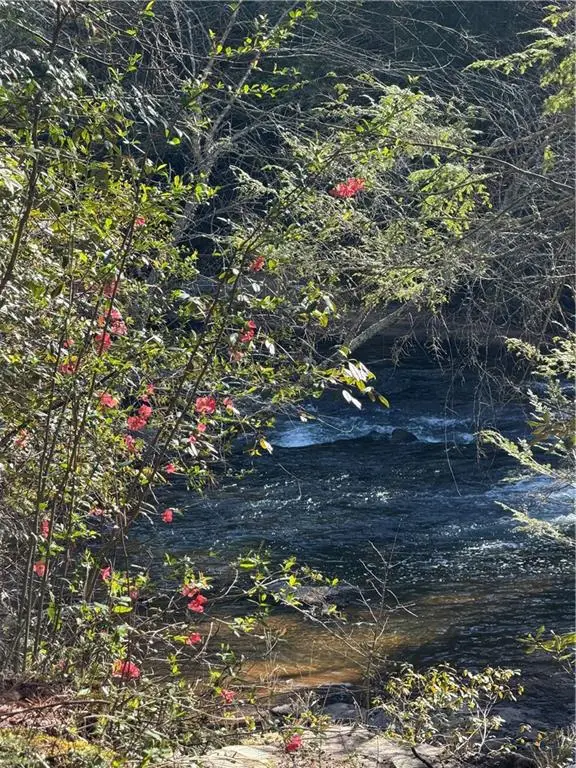 0 Frogtown Place, Dahlonega, GA 30533