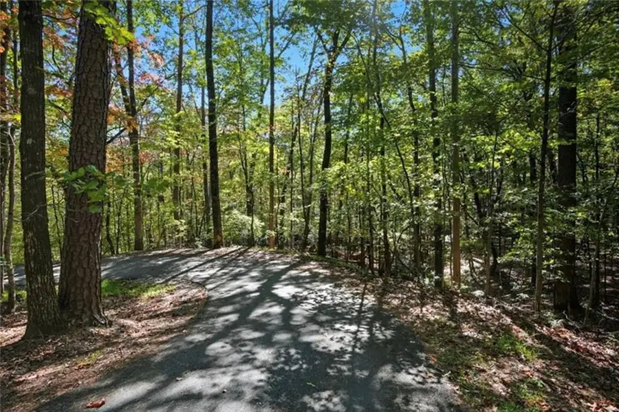 226 Wild Azalea, Jasper, GA 30143 - #2