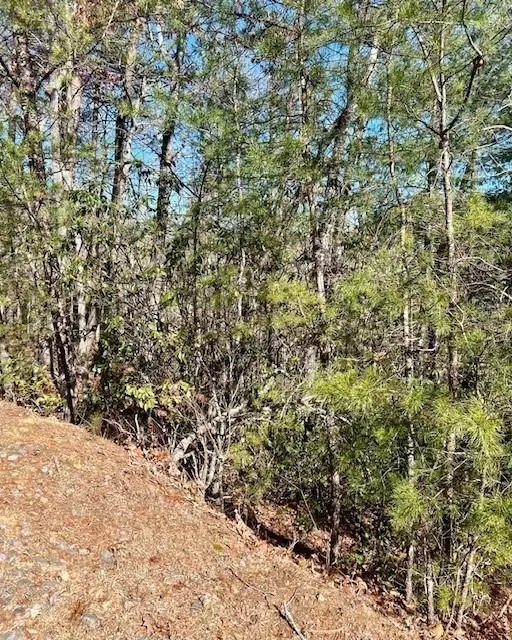 0 Rosen Strasse, Helen, GA 30545 - #2