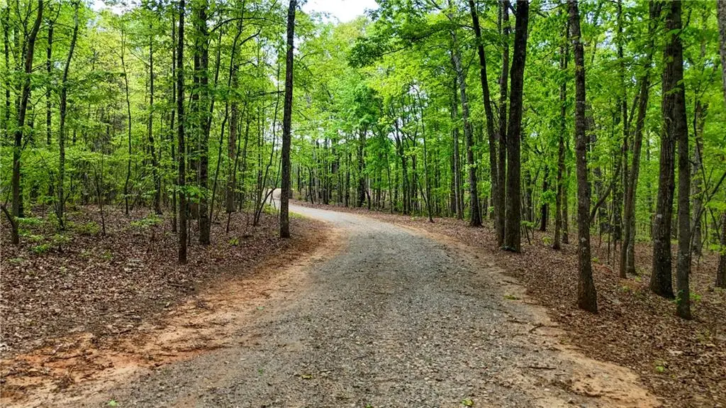 x Kelly Bridge Road, Dawsonville, GA 30534 - #1