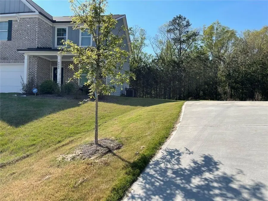 6010 Ivy Cottage Lane, Austell, GA 30106 - #3