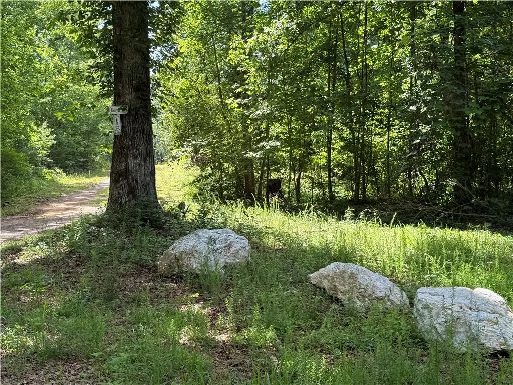 20 ac Ellijay Road, Talking Rock, GA 30175 - #1