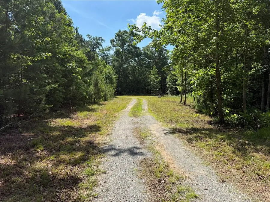 20 ac Ellijay Road, Talking Rock, GA 30175 - #3