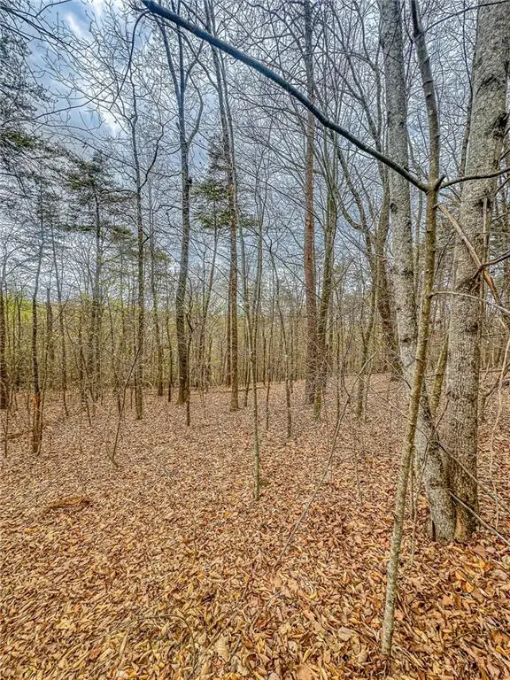 0 Green Meadows, Dahlonega, GA 30533