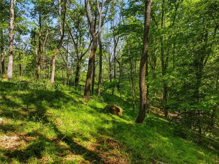 Lot 4 Summit Drive, Dahlonega, GA 30533 - #3