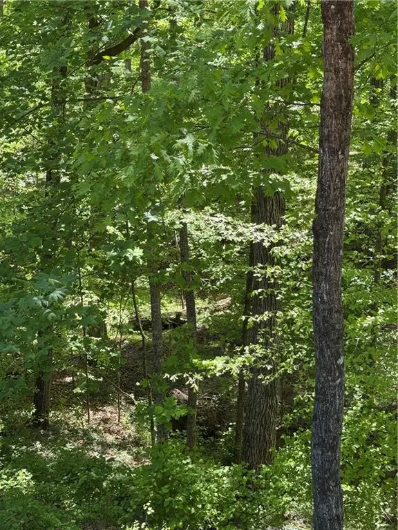 0 Clark Drive, Alpharetta, GA 30004 - #1