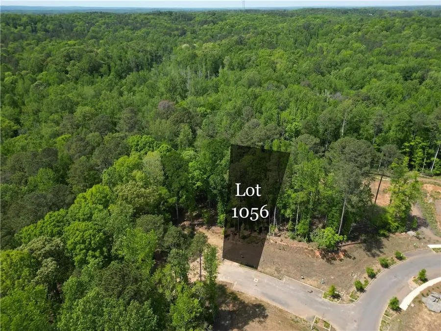 1011 Epple Lane, Chattahoochee Hills, GA 30268 - #2