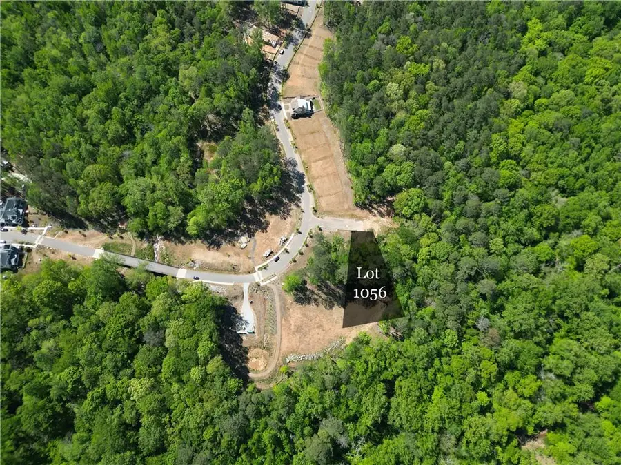 1011 Epple Lane, Chattahoochee Hills, GA 30268 - #3