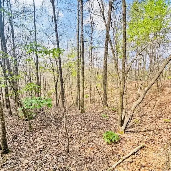 0 T Johnson Road, Ranger, GA 30734