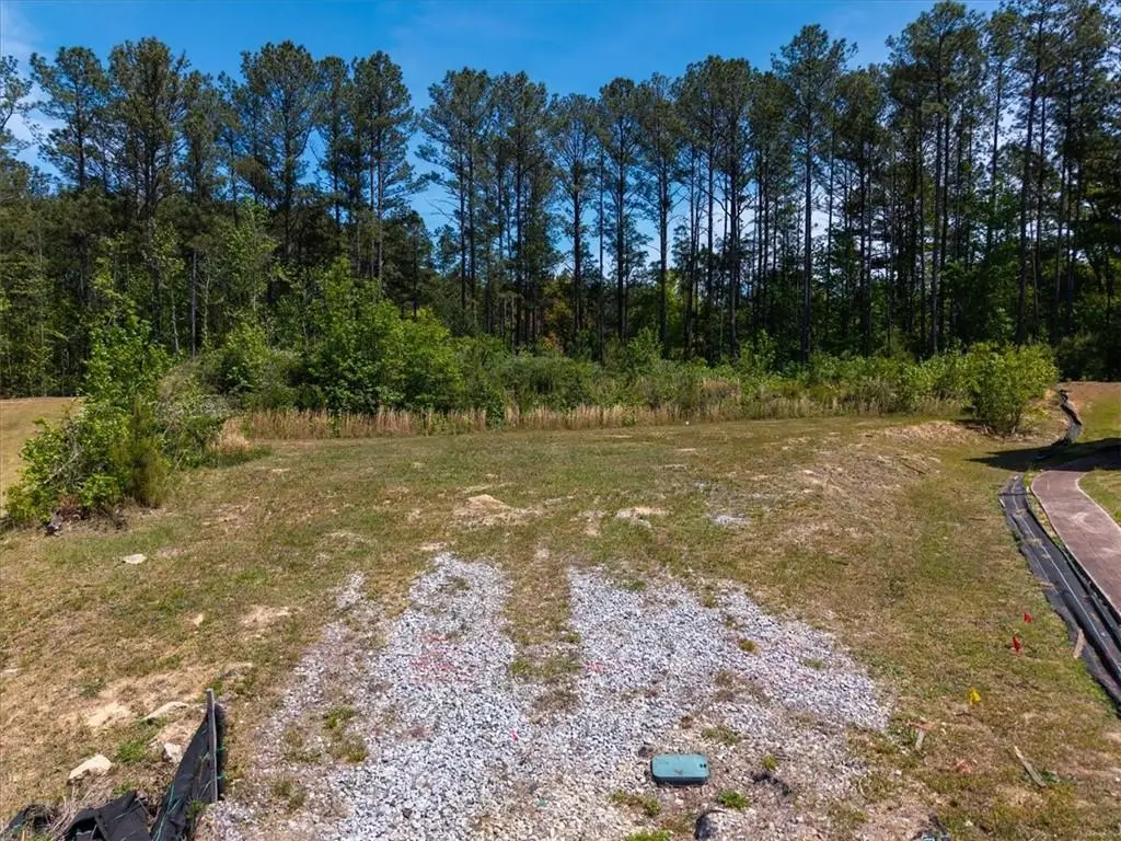 925 Botanica Way, Fairburn, GA 30213 - #1