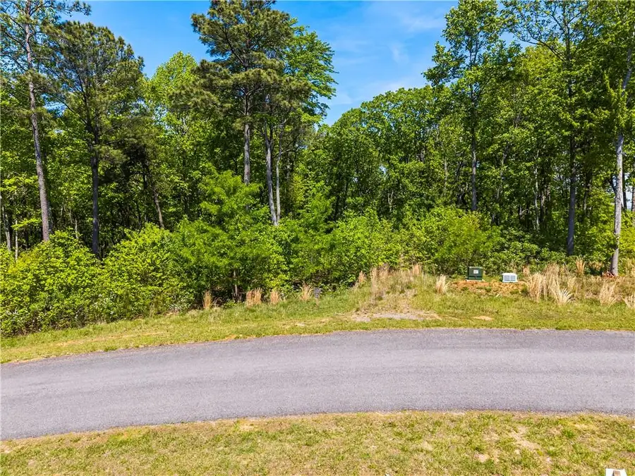 LT 112 Twisted Oak Road, Talking Rock, GA 30175 - #3