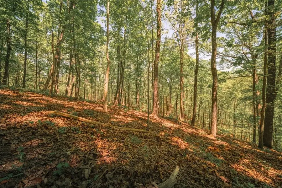 00 Hancock Mountain Trl, Waleska, GA 30183 - #2