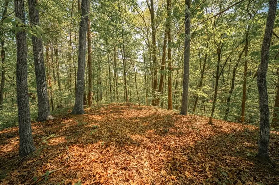 00 Hancock Mountain Trl, Waleska, GA 30183 - #3