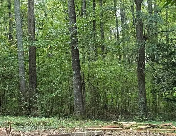 2247 Holly Court, Cumming, GA 30041