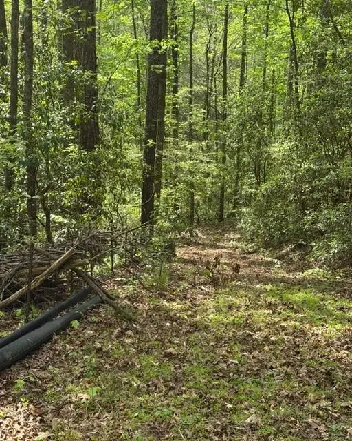 348 Hemlock Trail, Ellijay, GA 30540