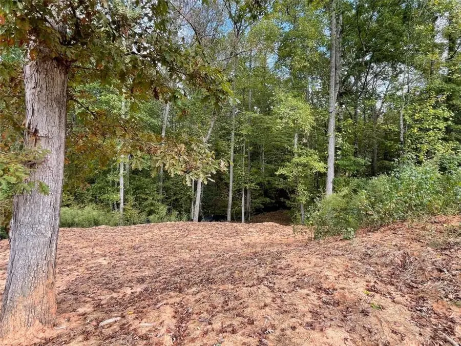 110 Oak Forest Drive, Oxford, GA 30054 - #2