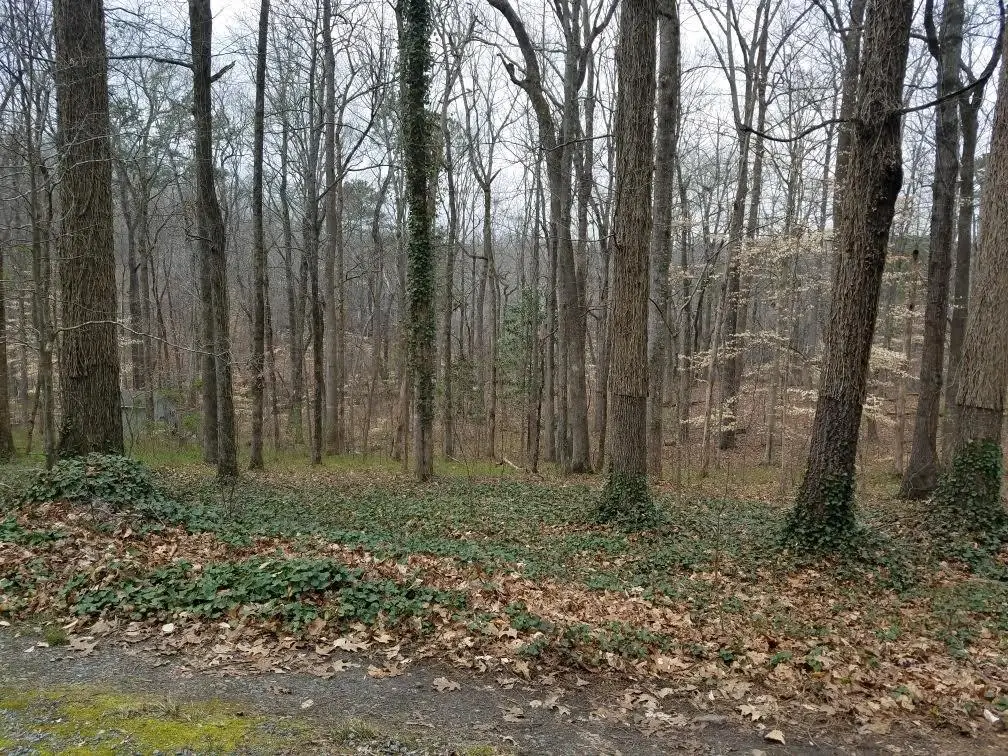 4633 Post Oak Tritt Road, Marietta, GA 30062 - #1
