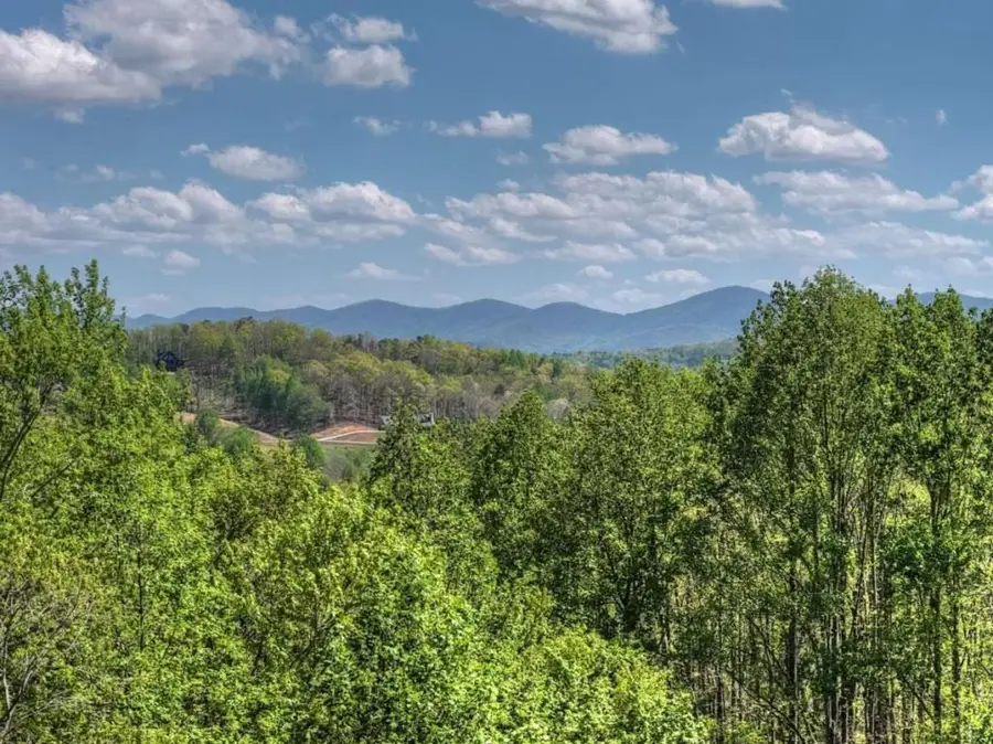 315 Blue Berry Ridge, Morganton, GA 30560 - #2