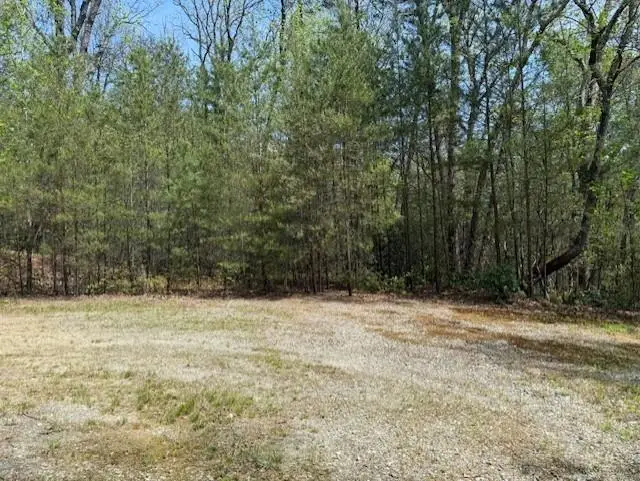 Lot 5 Marjorie Ave, Ellijay, GA 30536 - #1
